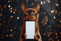Abyssinian cat holding blank smartphone screen with paws against dark bokeh background, blue eyes looking up. Social media and pet technology concept.