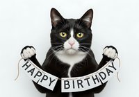 Black and white cat holding happy birthday banner with mice, isolated on white background for greeting cards and party designs.