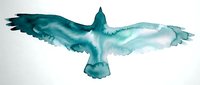 Watercolor eagle silhouette in teal blue tones with spread wings flying, artistic bird illustration isolated on white background for nature designs.