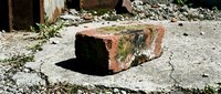 Old weathered brick with moss and lichen growth on cracked concrete surface, showing natural decay and aging process in urban environment.