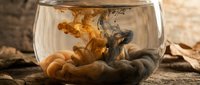 Golden and dark ink swirling in a glass bowl on a wooden surface, creating abstract smoke-like patterns with warm autumn tones.