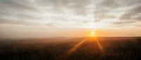 Golden sunrise over vast field with dramatic cloudy sky and sun rays breaking through horizon at dawn.