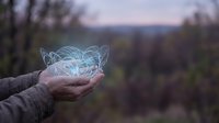 Hands holding glowing digital brain hologram with neural networks against blurred nature landscape at sunset for technology and artificial intelligence concepts.