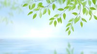 Fresh green leaves against soft blue sky and calm water create serene natural background with gentle bokeh effect and morning sunlight for wellness designs.