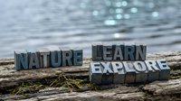Wooden letter blocks spelling NATURE LEARN EXPLORE arranged on driftwood by sparkling ocean water, promoting outdoor education and environmental awareness.