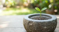 Young green plant seedling growing in stone mortar bowl with soil on wooden surface outdoors symbolizing new life growth and natural gardening concepts.