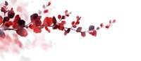Delicate red cherry blossom branch painted in traditional Asian watercolor style with soft gradient background, expressing spring season and natural harmony.