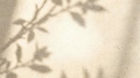 Soft beige textured background with delicate plant shadow overlay creating natural organic patterns for modern minimalist design projects and branding materials.