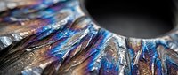 Iridescent peacock feathers displaying vibrant blue and bronze colors with intricate eye patterns and natural metallic sheen for luxury design projects.