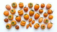Fresh ripe persimmon fruits arranged in organized pattern on white background. Healthy organic autumn harvest produce for cooking and nutrition.