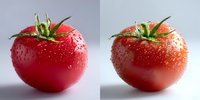 Fresh ripe red tomatoes with water drops and green stem on light background, before and after color grading comparison for food photography and editing.
