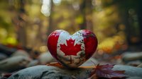 Heart-shaped stone painted with Canadian flag resting on rock with autumn maple leaf, soft bokeh nature background creates romantic patriotic mood.