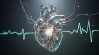 Digital anatomical heart with glowing network connections and ECG heartbeat rhythm for medical education and healthcare technology presentations.