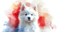White fluffy Samoyed puppy portrait with bright blue eyes against red and peach watercolor background, artistic pet photography style composition.