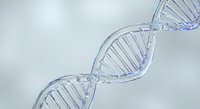 DNA double helix structure in transparent blue glass material showing genetic code spiral on white background for medical and scientific research applications.