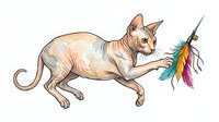 Hairless cat playing with colorful feather toy, isolated on white background, ready for design projects, clipart, and merchandise applications.