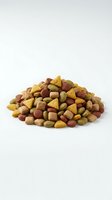 Colorful dry pet food kibble pile isolated on white background for animal nutrition and feeding concepts.