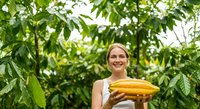 Young Caucasian woman farmer holding fresh yellow squash in vegetable garden with green foliage background, agriculture and harvest concept.