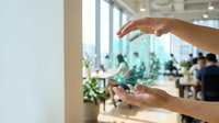 Hands holding digital globe hologram with green leaf overlay in modern office environment with blurred colleagues and plants in background.