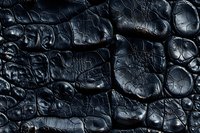 Dramatic close-up of charred wood surface showing deep black crackled texture and natural patterns formed by fire damage, creating an abstract artistic background.