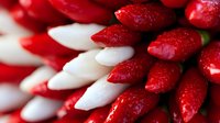 Fresh red and white radishes arranged in diagonal rows create striking pattern of alternating colors, highlighting natural textures and vibrant contrast in fresh produce.