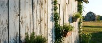 Rustic wooden fence with climbing green plants and hanging flower baskets in countryside setting with barn in background during golden hour.