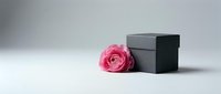 Elegant pink rose beside minimalist black gift box on clean white surface for luxury branding, romantic occasions, and premium product presentation.
