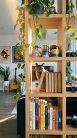 Wooden shelving unit displaying books, potted plants, vintage cameras, and a brown tabby cat sitting among decorative items in a bright, modern living room with natural light and bohemian decor.