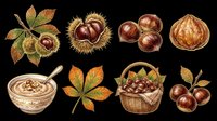 Chestnuts isolated on transparent background, ready for t-shirt designs, clipart, stickers, print-on-demand products, and sublimation projects. Includes whole nuts, opened shells, leaves, and basket arrangement.
