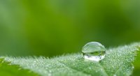 Single water droplet resting on fresh green leaf surface with soft bokeh background creating peaceful natural scene for wellness and environmental concepts.