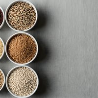 Assorted whole grains and seeds in white bowls on gray background for healthy cooking and nutrition concepts with copy space.