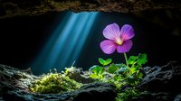 Vibrant purple wildflower growing in mossy cave with ethereal blue light rays streaming through opening, creating magical natural scene with dramatic lighting.