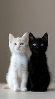 Black and white kittens sitting together, creating striking contrast against neutral background. Young cats with bright eyes looking upward in synchronized pose.