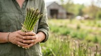 Fresh green asparagus bunch held by farmer in field with rural barn background, representing organic vegetable harvest and sustainable agriculture.