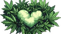 Green heart shape formed by cannabis leaves arranged in decorative pattern, artistic botanical illustration with detailed leaf structure and shading on white background.