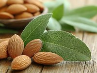 Fresh raw almonds with green sage leaves on rustic wooden background, macro food photography for healthy eating and natural ingredients concept.