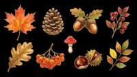 Autumn nature clipart set with maple leaf, pine cone, acorns, mushroom, berries, chestnut, and oak leaf, isolated on transparent background for stickers, sublimation, and t-shirt design.