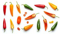 Colorful hot chili peppers collection isolated on white background. Fresh spicy vegetables for cooking, seasoning and culinary ingredients.