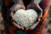 African hands holding white rice grains arranged in heart shape, symbolizing food security, charity, and care. Close-up view against blurred background.