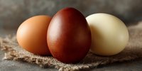 Three farm fresh eggs in different natural colors arranged on rustic burlap fabric, showcasing organic poultry products for healthy cooking and baking.