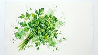 Fresh green parsley bunch painted in watercolor style with vibrant splashes, isolated on white background for culinary and design use.