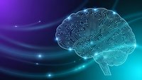 Digital brain with circuit board patterns on futuristic purple and teal gradient background with glowing light effects for technology concepts.