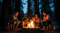 Group of friends enjoying campfire gathering in forest at night with warm glowing flames creating cozy outdoor adventure atmosphere for camping activities.