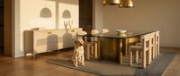 Modern dining room interior with golden retriever dog sitting on area rug beside glass table and wooden chairs in warm sunlight from large windows.