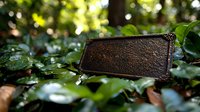 Empty rustic metal nameplate surrounded by green ivy leaves in garden setting, natural sunlight creating bokeh effect through foliage. Weathered bronze surface adds vintage charm.
