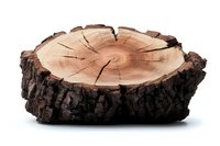 Cross section of tree trunk showing annual growth rings and rough bark texture, isolated on white background for nature and forestry concepts.