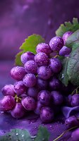 Fresh purple grapes with water drops and green leaves on purple background, macro photography showing detailed texture of wet grape skin and natural lighting.