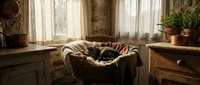 Cozy rustic kitchen interior with wicker basket, wooden furniture and natural sunlight streaming through windows creating warm homey atmosphere.