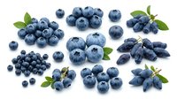 Fresh blueberries and bilberries isolated on white background, arranged in clusters with green leaves. Suitable for food packaging, recipe blogs, health supplements, and culinary design projects.