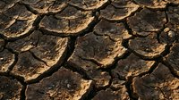 Cracked and parched earth texture with deep fissures and golden-brown tones, representing drought, climate change, environmental degradation, and arid conditions for editorial and design use.